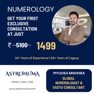 NUMEROLOGY : Detailed Consultation [15-30 Mins]